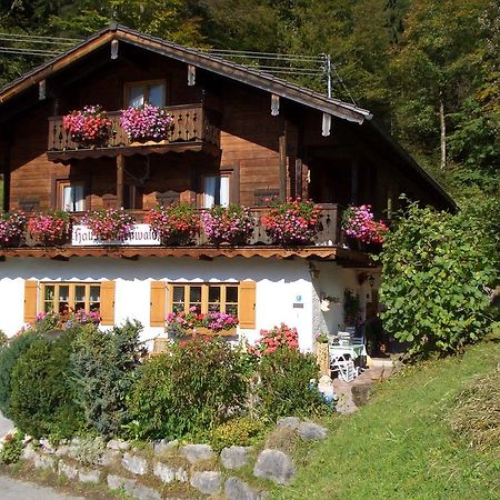 Appartement Haus Buchenwald à Ramsau bei Berchtesgaden Extérieur photo