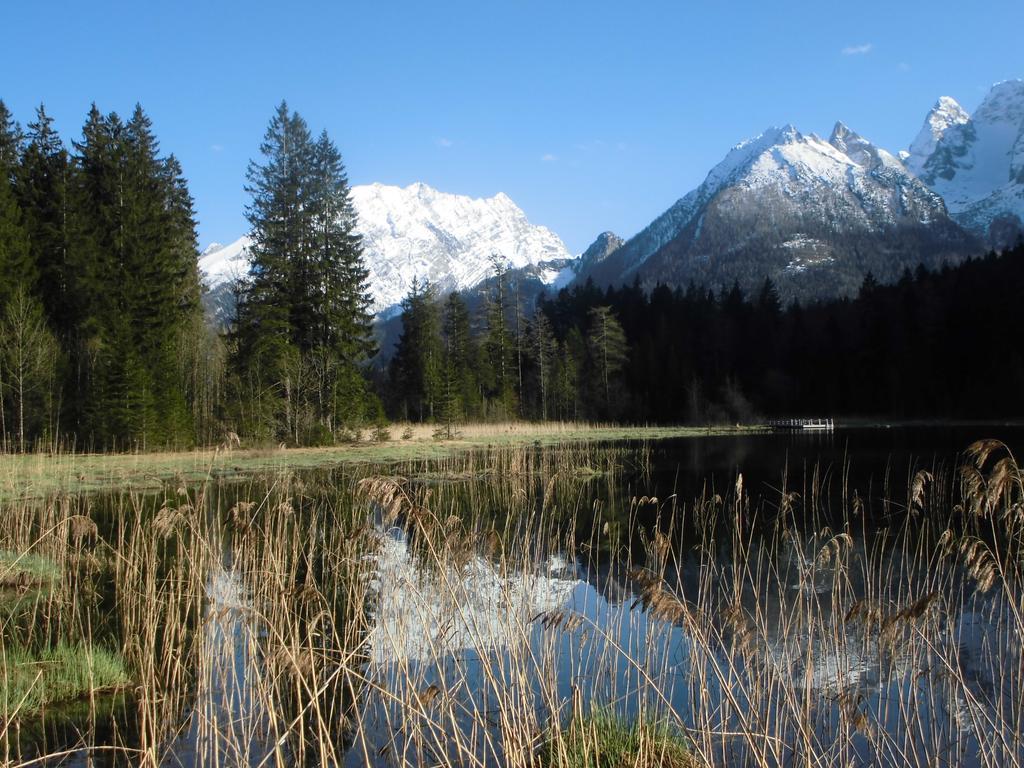 Appartement Haus Buchenwald à Ramsau bei Berchtesgaden Extérieur photo